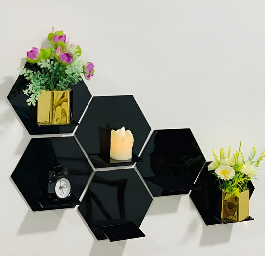 Acrylic Hexagon Wall Decor zenwalls